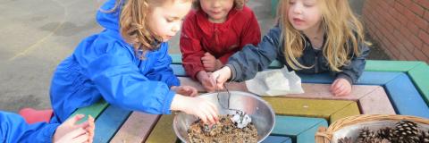 Forest School