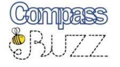 Compass Buzz