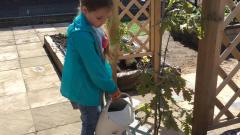 Watering Community garden