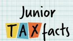 Junior Tax Facts