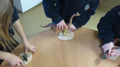 Making salt dough fossils