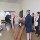 Harpist 