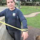 forest schools