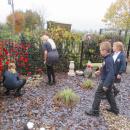 Reflection garden poppies