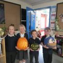 Pumpkin competition